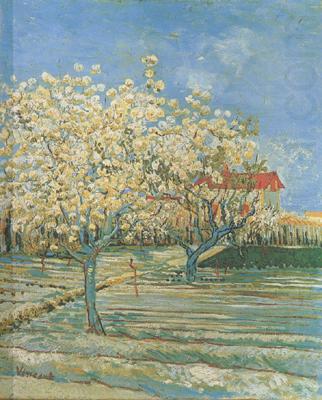 Orchard in Blossom (nn04), Vincent Van Gogh